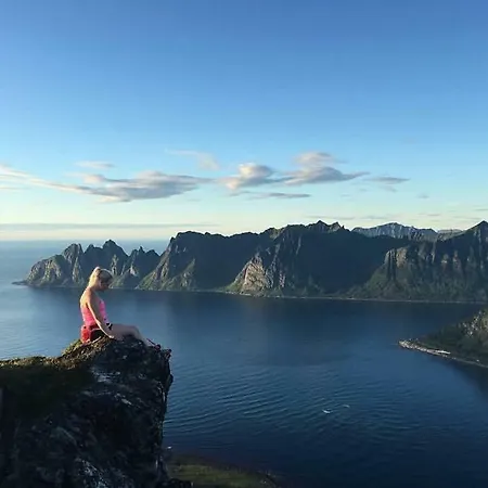 Pettersborg House On Senja *
